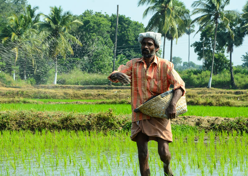 thumb-agriculture Agriculture